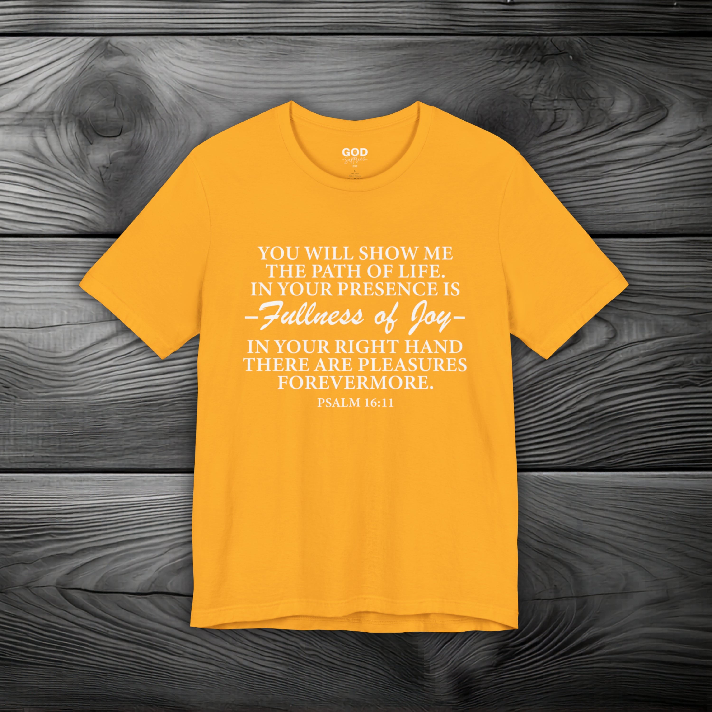 Joy In GOD's Presence Unisex Jersey Short Sleeve Tee