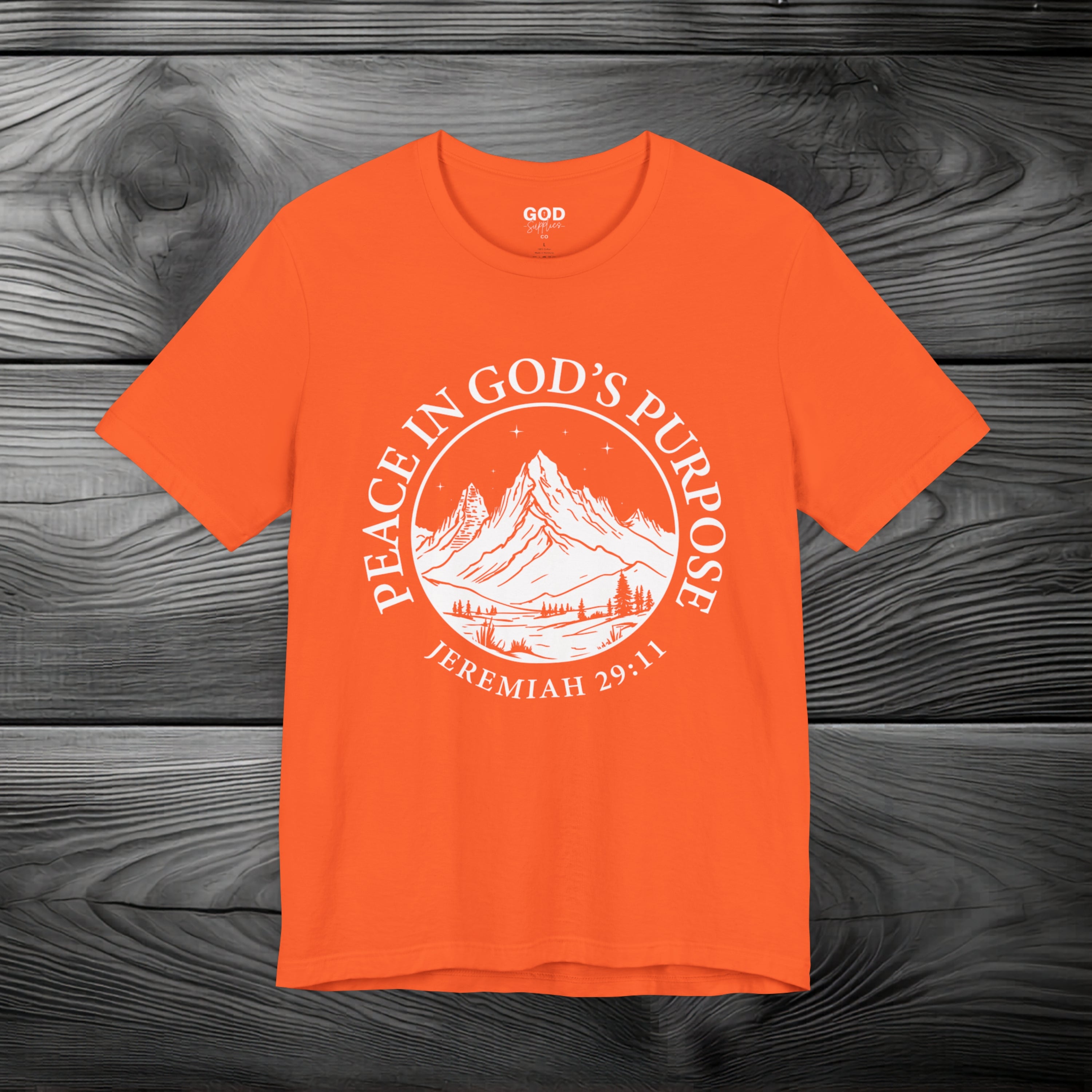 Peace in God's Purpose Unisex Jersey Short Sleeve Tee