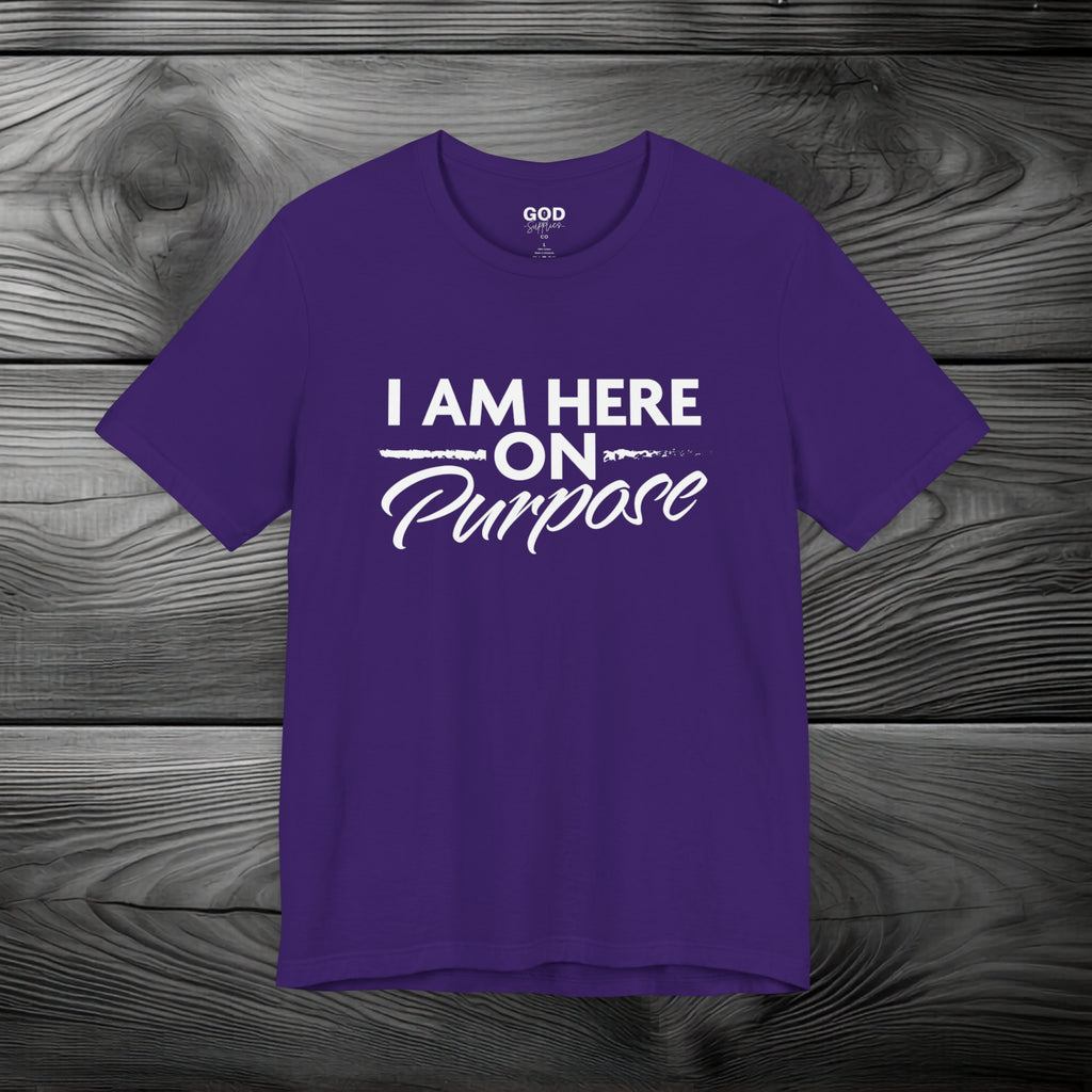 I Am Here on Purpose Unisex Jersey Short Sleeve Tee