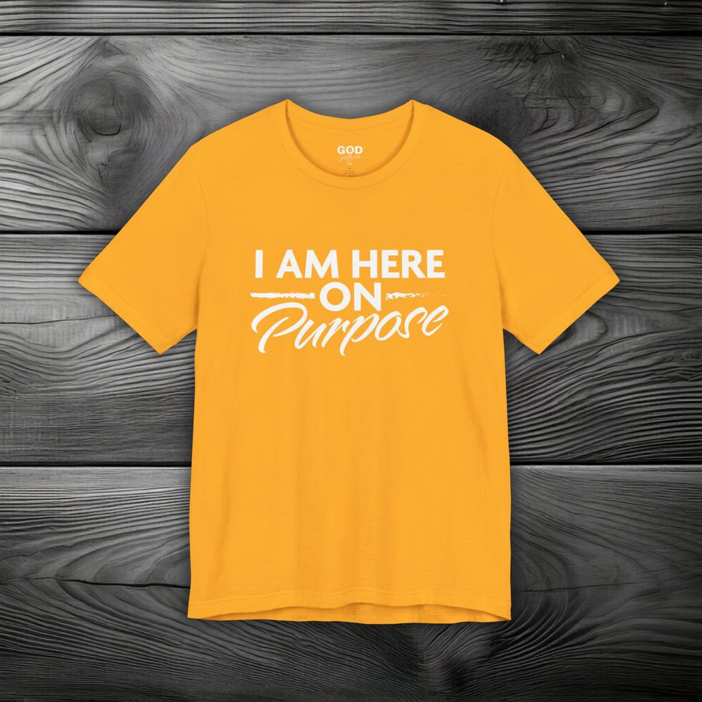 I Am Here on Purpose Unisex Jersey Short Sleeve Tee