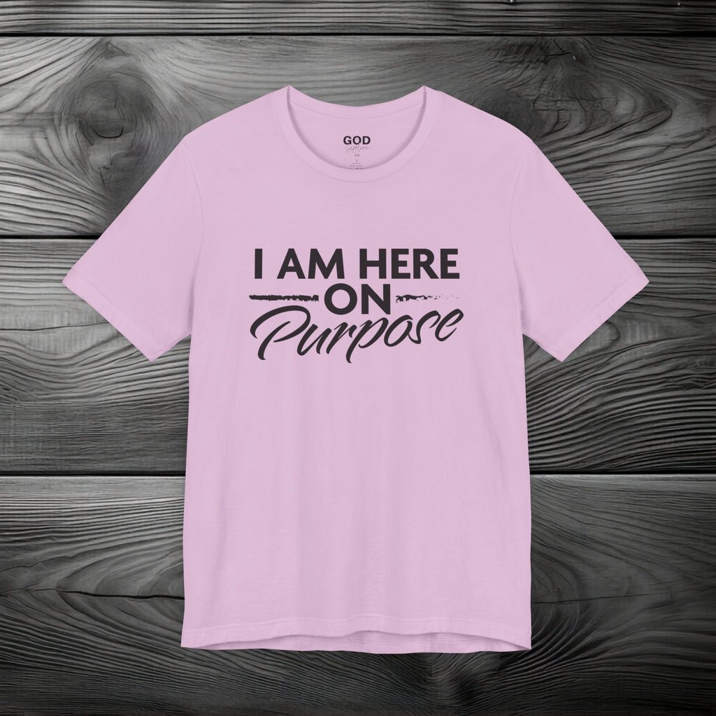 I Am Here on Purpose Unisex Jersey Short Sleeve Tee