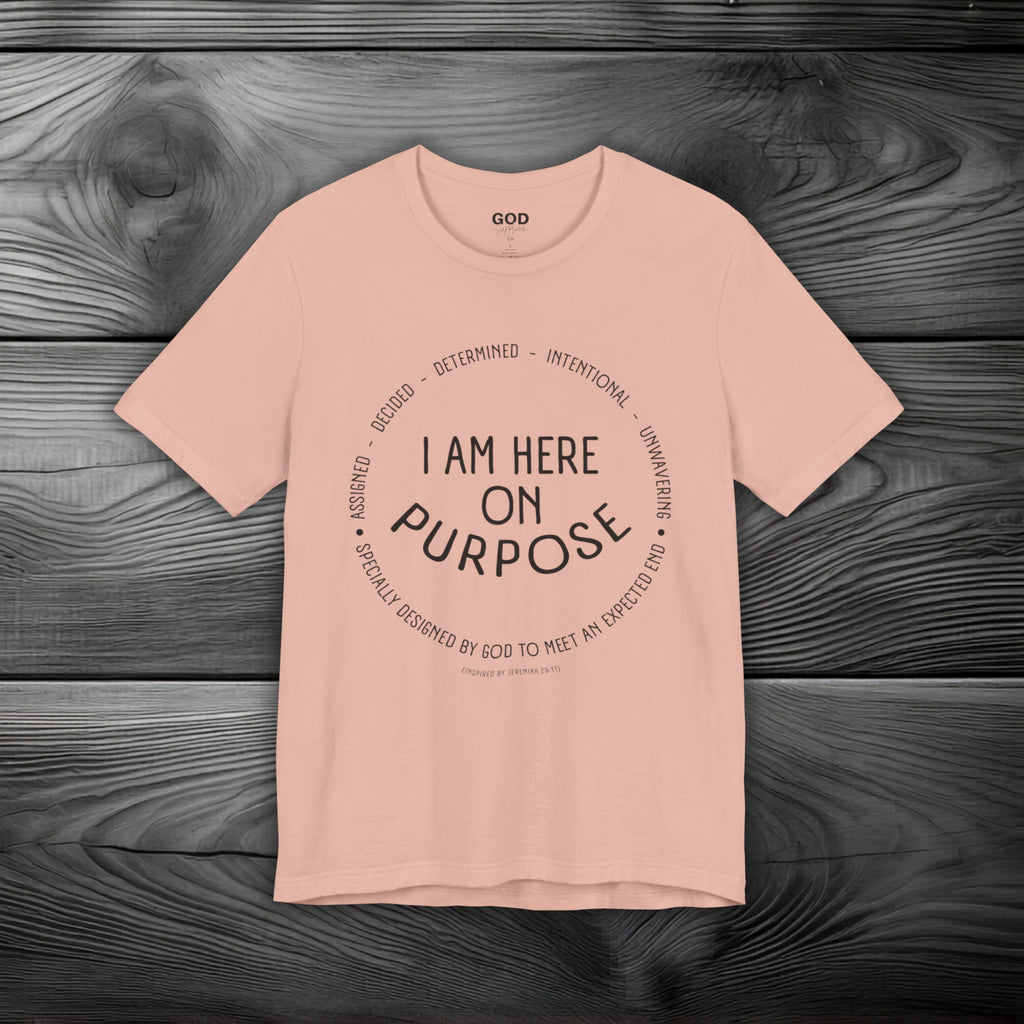 I Am Here On Purpose Unisex Jersey Short Sleeve Tee