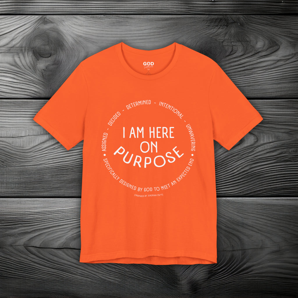 I Am Here On Purpose Unisex Jersey Short Sleeve Tee
