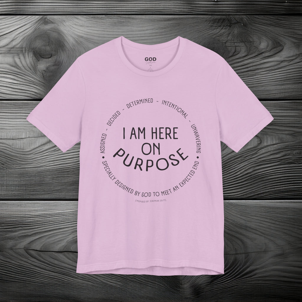 I Am Here On Purpose Unisex Jersey Short Sleeve Tee