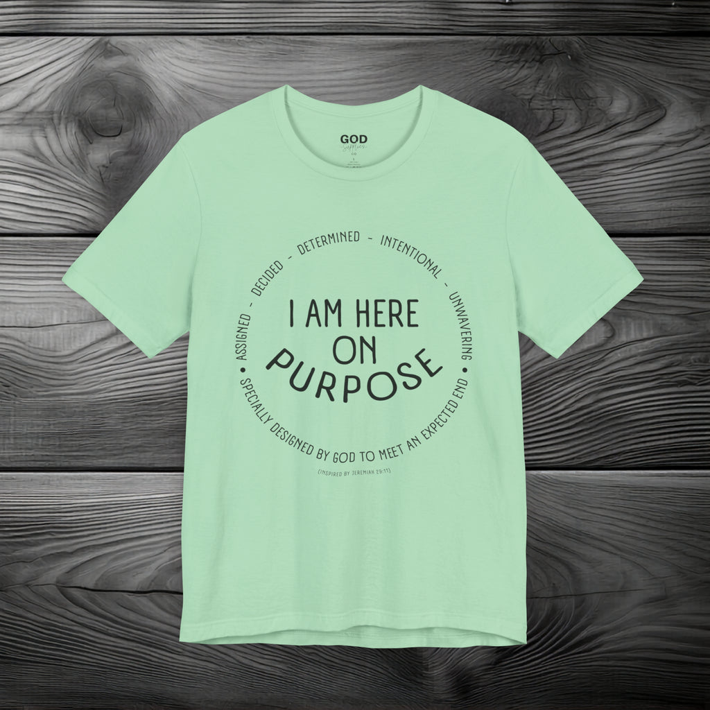 I Am Here On Purpose Unisex Jersey Short Sleeve Tee
