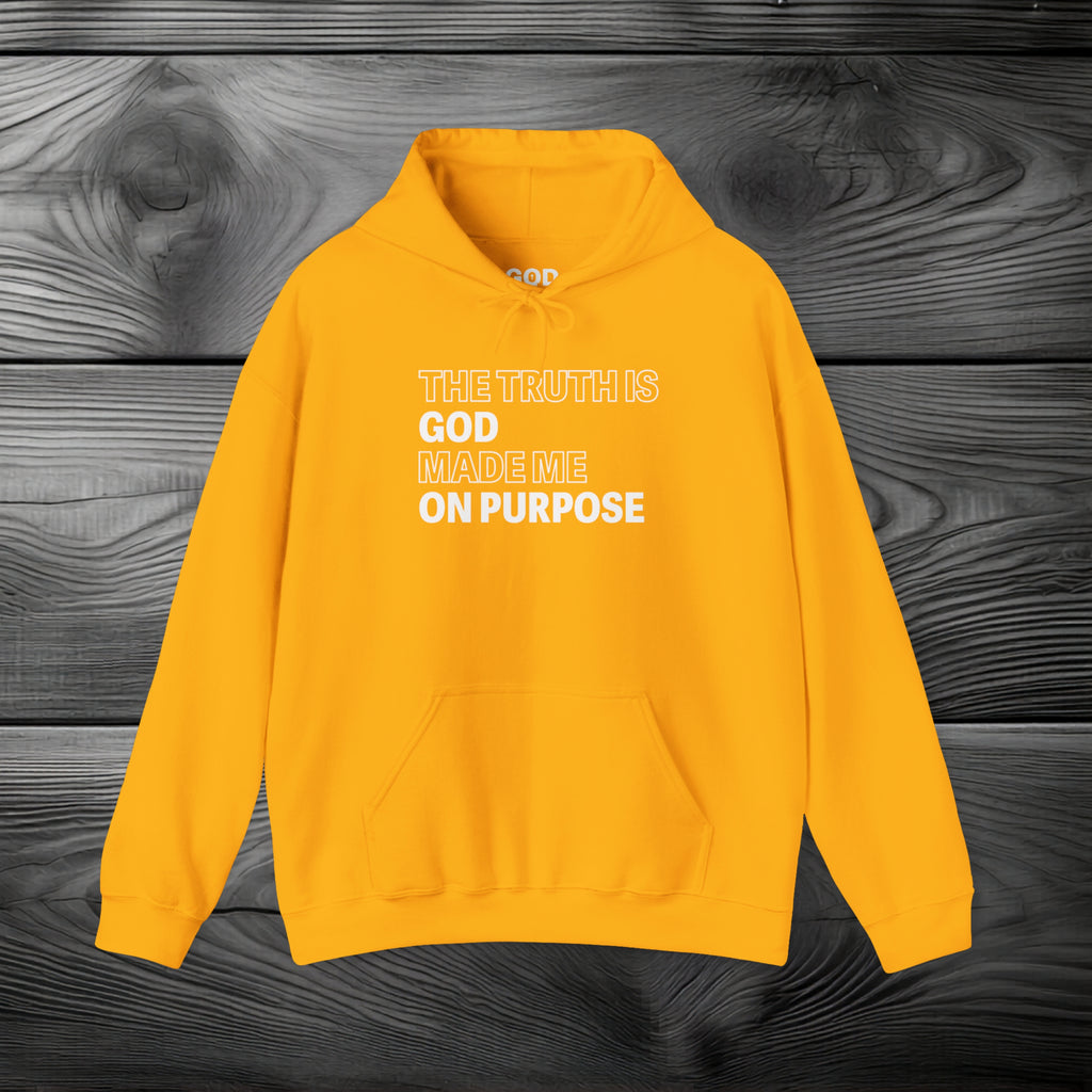 The Truth is God Made Me on Purpose Pullover Hoodie
