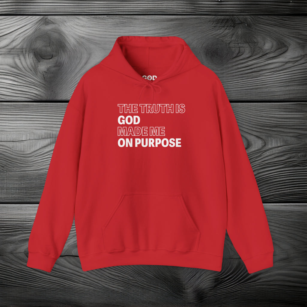 The Truth is God Made Me on Purpose Pullover Hoodie