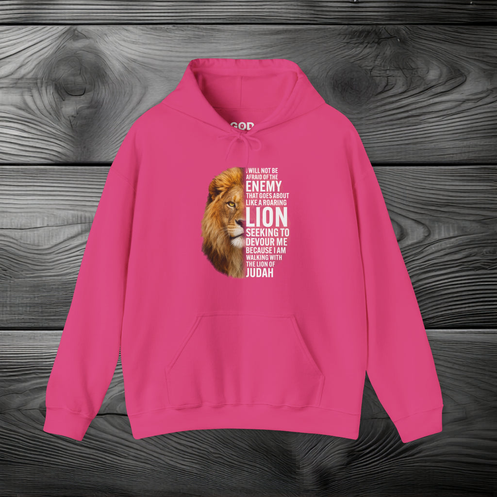 I Am Walking With the Lion of Judah Pullover Hoodie