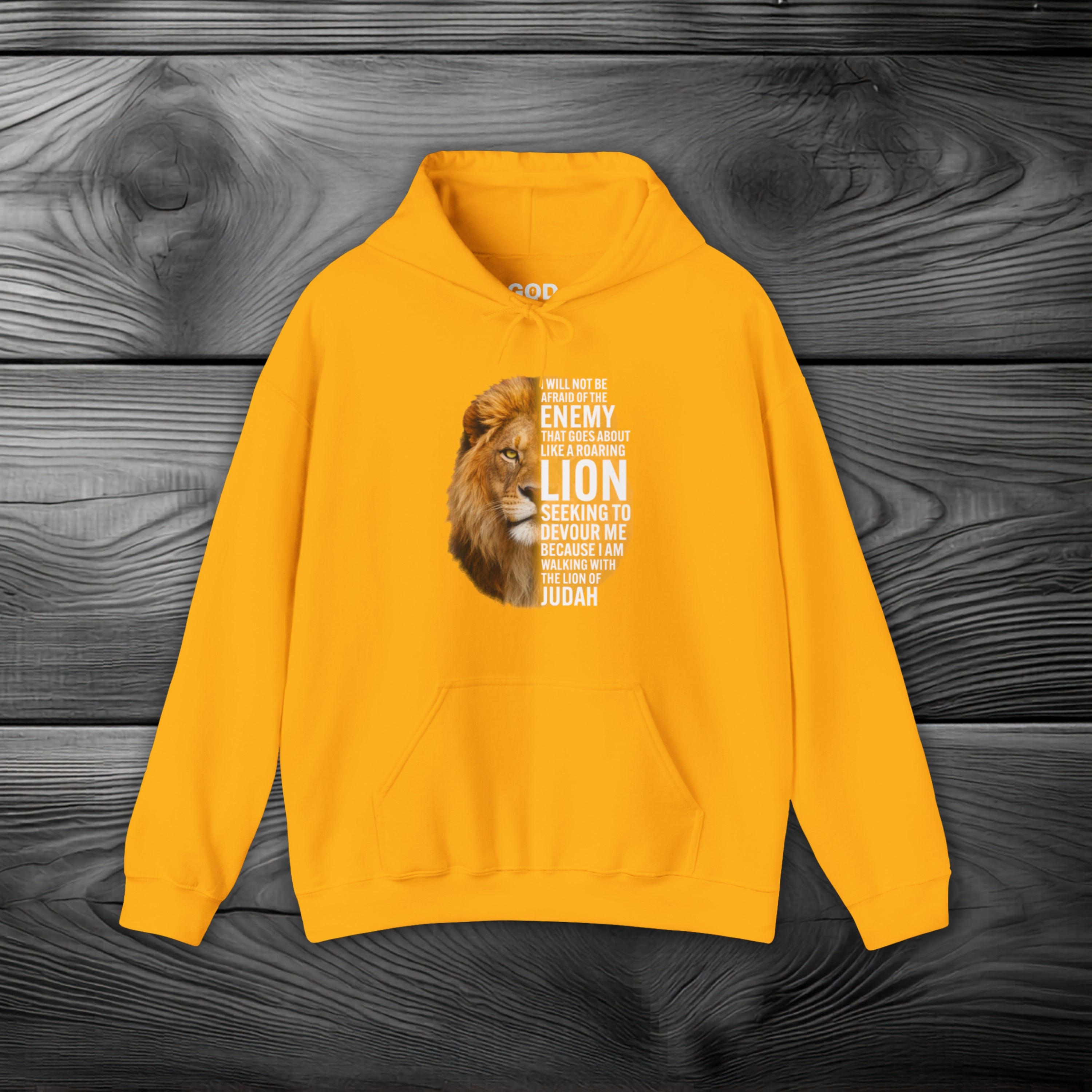 I Am Walking With the Lion of Judah Pullover Hoodie