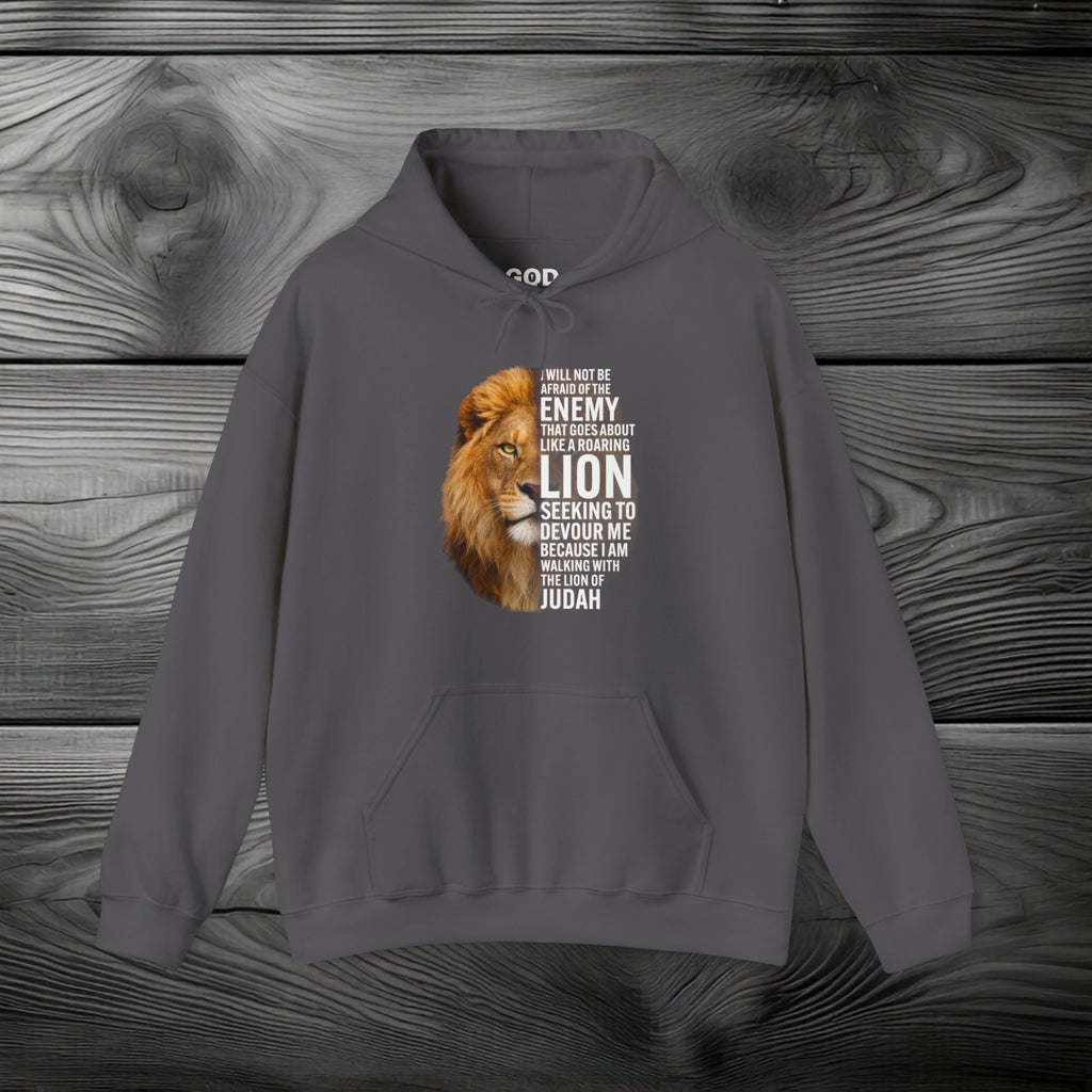 I Am Walking With the Lion of Judah Pullover Hoodie