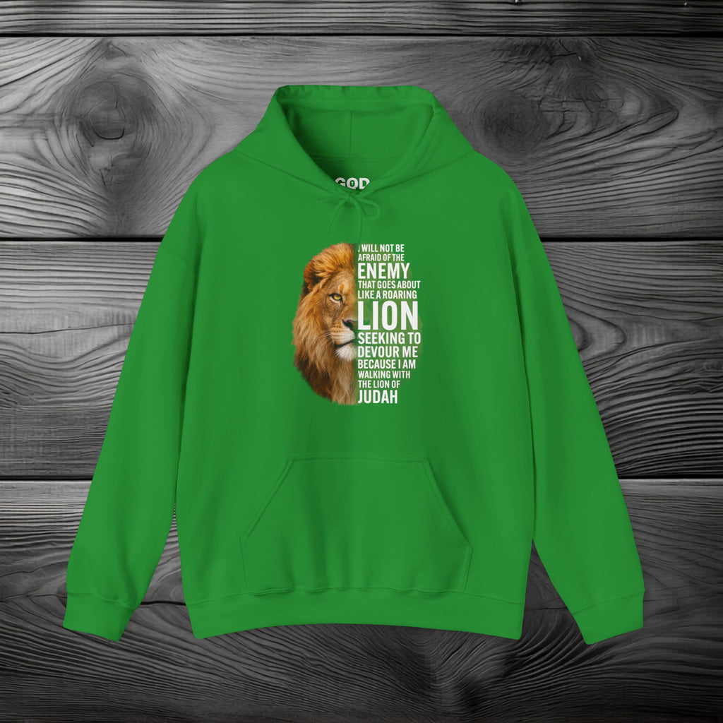 I Am Walking With the Lion of Judah Pullover Hoodie